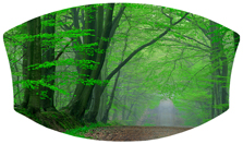 DNSWILL 128 Forest Serenity Forest Path